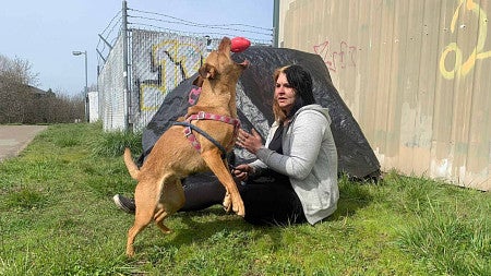Student investigates evictions of unhoused people