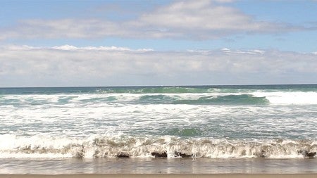 Ocean view
