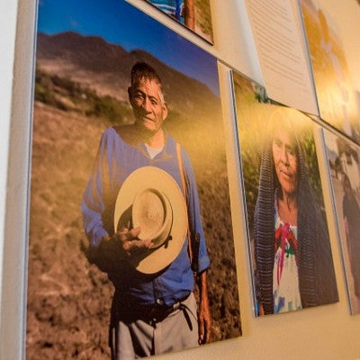 Unvarnished project displayed on wall