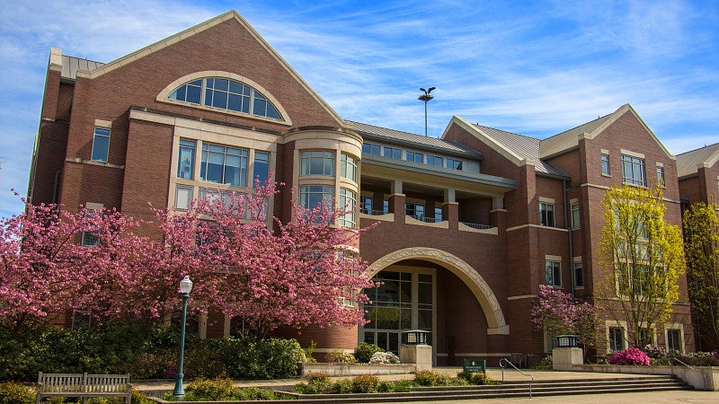 Law school spring