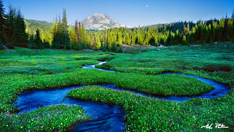 A serpentine stream meanders through a green meadow in the Three Sisters Wilderness of Oregon.