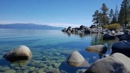 A freshwater lake scene
