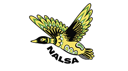 NALSA