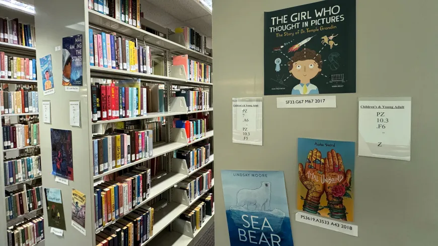 children's book covers and colorful library stacks