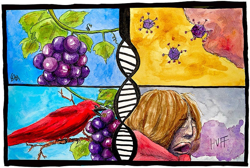 Chloe DaMommio's comic panel