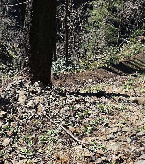 Eagle Creek hillside