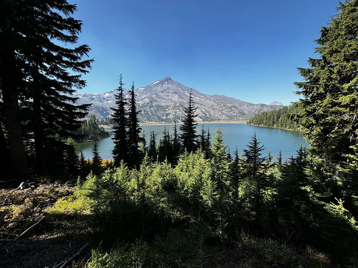 The South Sister viewed from across one of the Green Lakes and surrounded by evergreen trees.