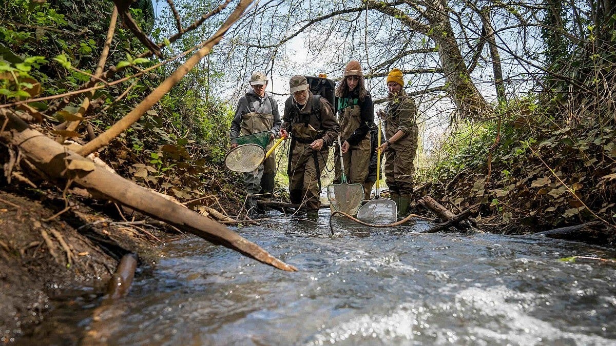 College of Arts and Sciences students and faculty working outside at a wooded stream