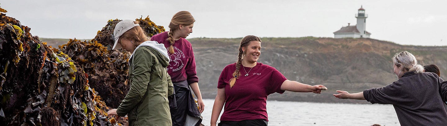researchers working in a tidal zone on the Oregon coast