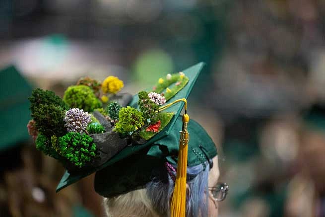 Mortar board with trees and a landscape on top