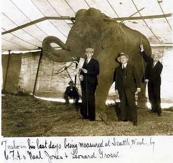 Photograph courtesy Buckles Blog