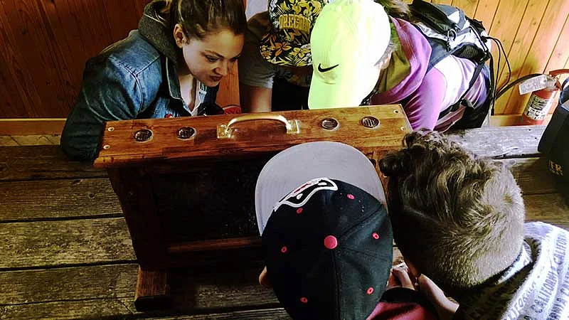 Students from Creston Elementary School looking at bees