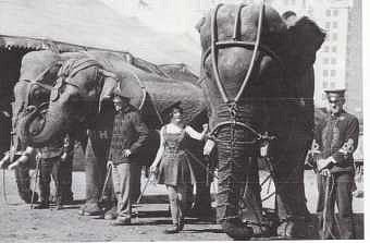 Photograph courtesy Buckles Blog