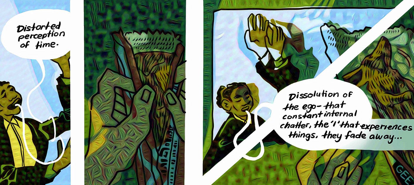 Audra McNamee's comic book panel