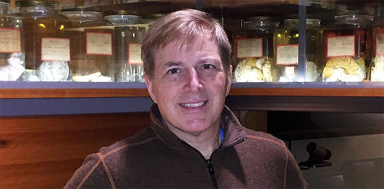 David McCormick in the brain room