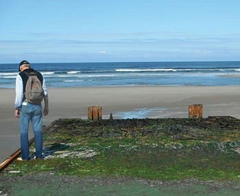 Photograph courtesy Hatfield Marine Science Center, Oregon State University