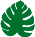 Tropical leaf