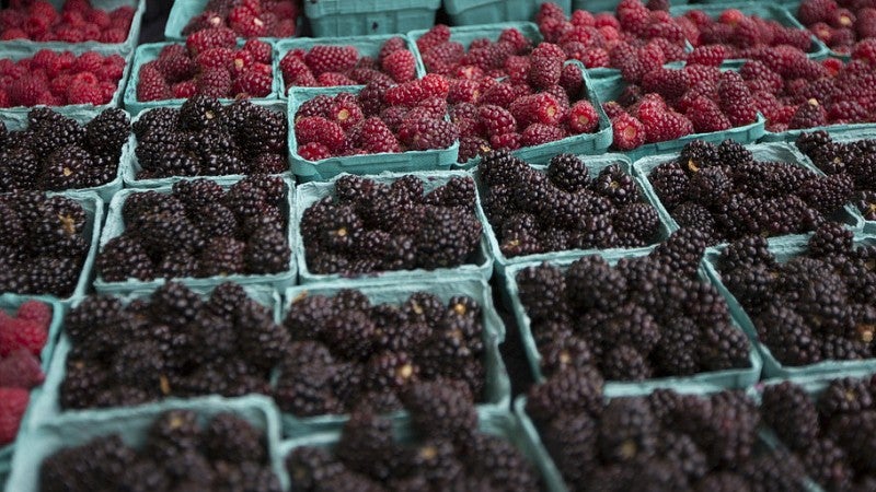 Berries at a farmer's market