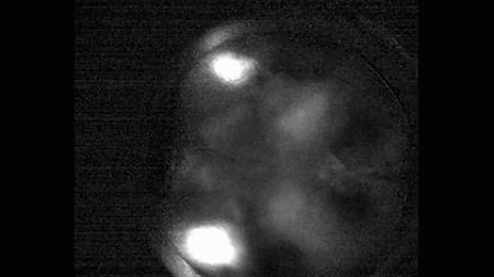 Neuron activity shown as it goes across the mouse brain followed by view of specific neurons firing