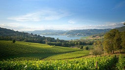 Willamette Valley