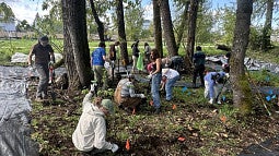people planting trees