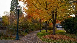 campus sidewalk in fall