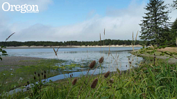Salmon River estuary, north of Lincoln City. Photograph by Michael Strelow