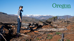 Lauren Ponisio surveys burned land being replanted