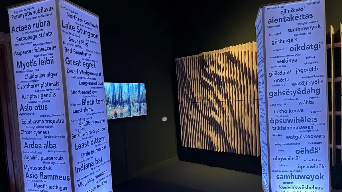 transpecies exhibit biennale