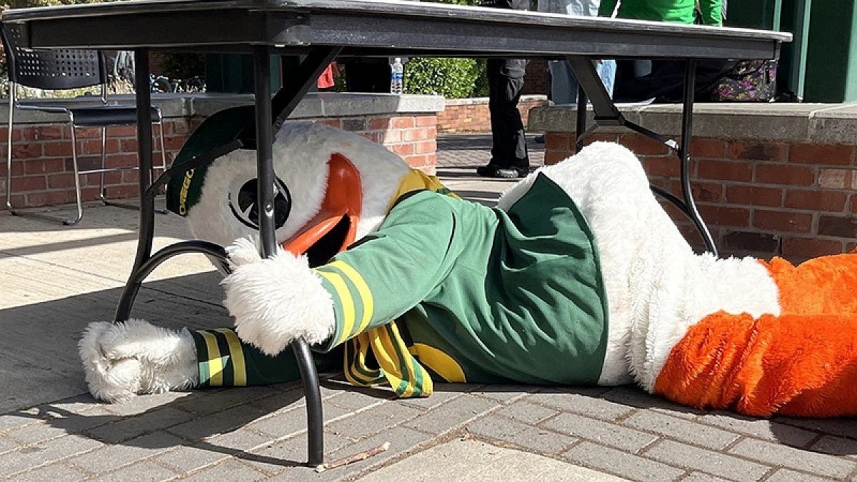 The Duck under desk during ShakeOut