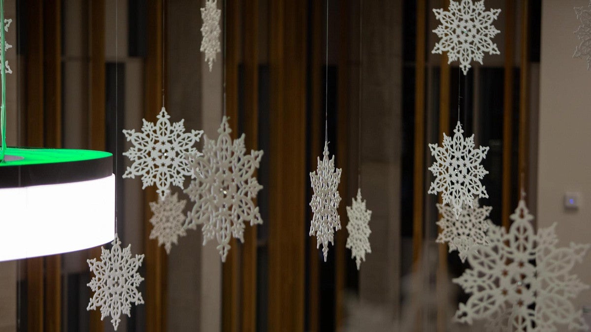 EMU snowflakes