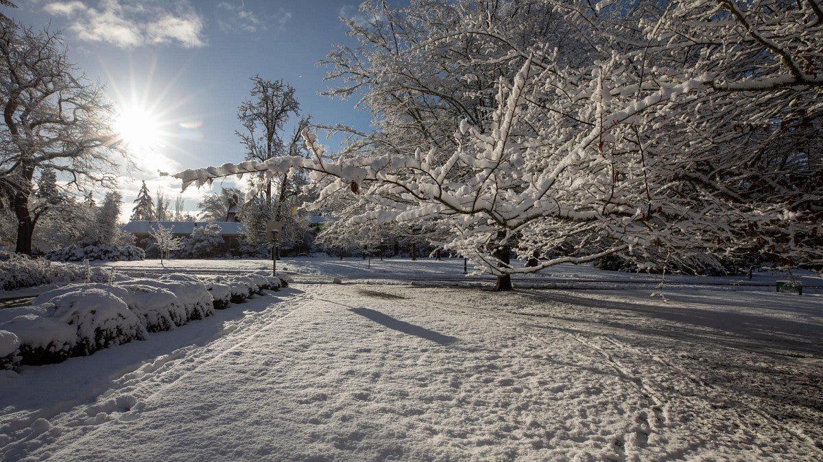 snow on campus