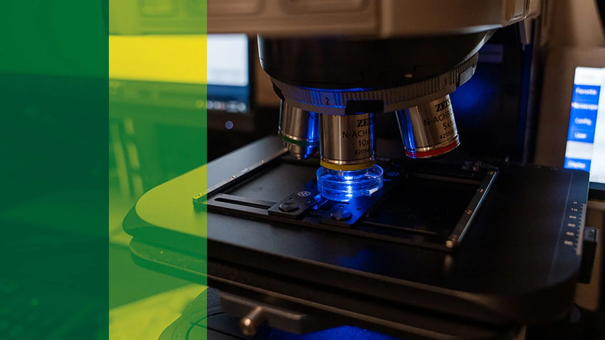 A microscope with a blue light shines on a small dish