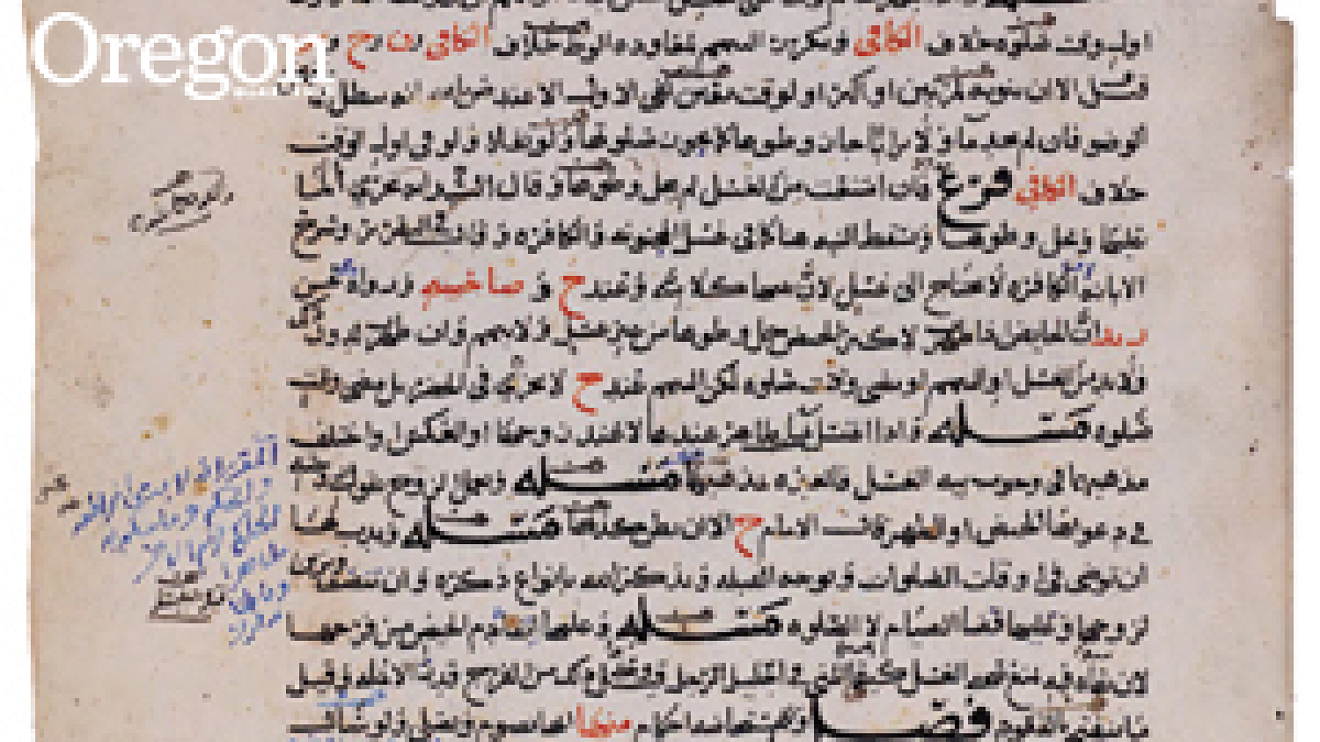 An international network of scholars works with resolve as time and political instability imperil the long Yemeni tradition of producing, owning, and making marginal comments in texts. Photograph courtesy Princeton University Digital Library