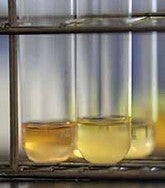 Liquid in test tubes