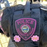 UOPD K9 breast cancer awareness vest