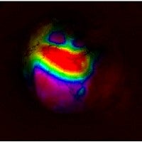 Wide-field imaging captures levels of activity across a mouse brain
