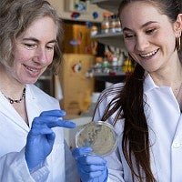 Karen Guillemin and Lila Kaye, BS ’18 (biology) looking at a petri dish