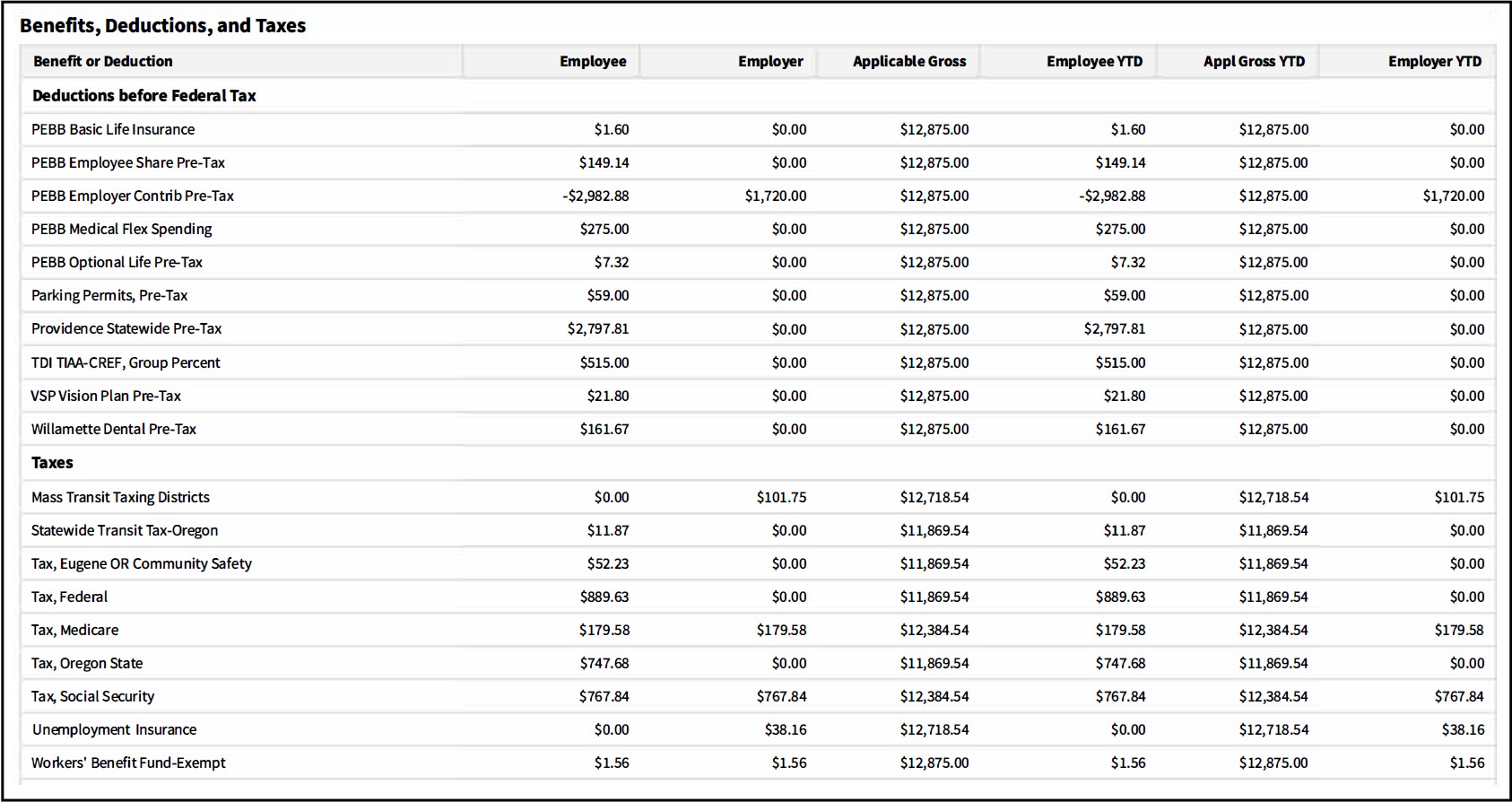Deductions Portion of Earning Statement