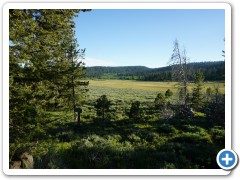 White Pine Marsh, Warner Mountains, OR