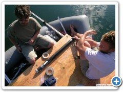 Coring the silty muds of Upper Squaw Lake