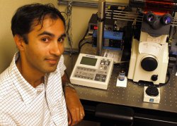Raghu Parthasarathy in his lab