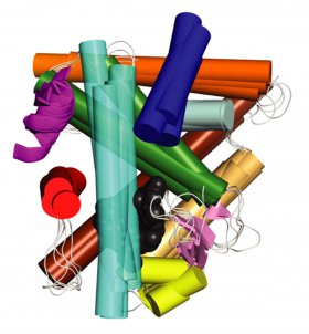 Graphic shows cartoon rendering of superimposed atomic structure of nuclear receptor proteins: Superimposed atomic structure of nuclear receptor proteins