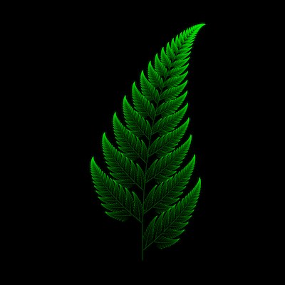 Barnsley Fern