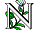 N