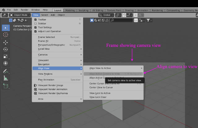 Align to Camera