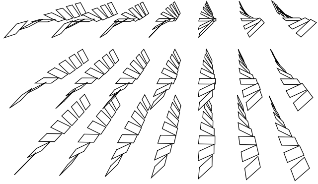 The standard contact structure