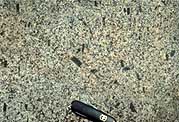 granodiorite