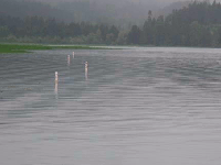 Waves on the Cottage Grove reservoir, Oregon, May 29 2011