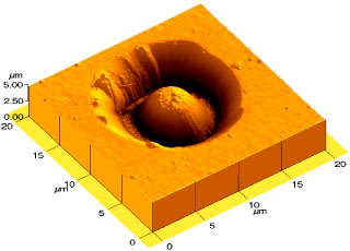 Micrograph of dome